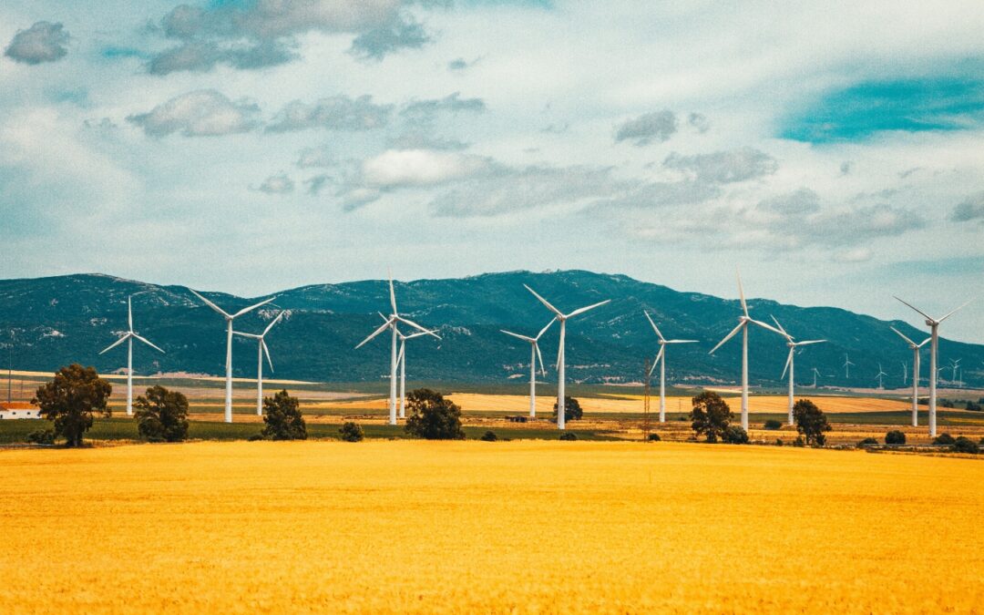 Singapore and China’s Low-Carbon Agreements: Implications for Businesses