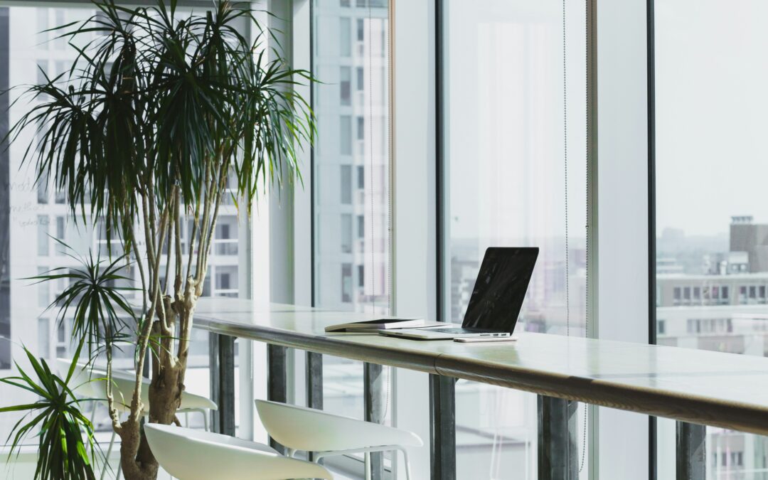 How to Create a Budget for Your Small Business in Singapore: A Practical Guide